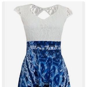 Body Central Lace Bodice Skater Dress